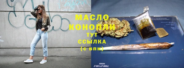 индика Елабуга