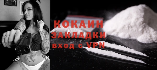 индика Елабуга