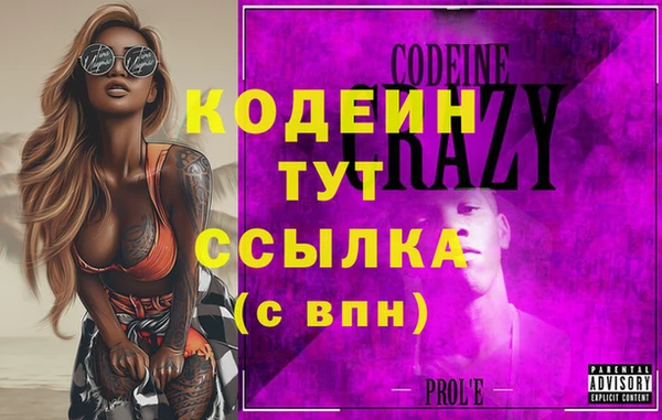 индика Елабуга