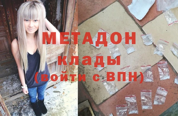 индика Елабуга