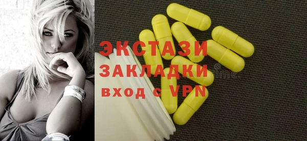 индика Елабуга