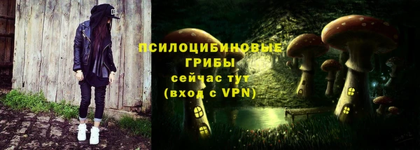 индика Елабуга