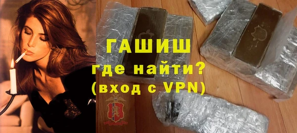 индика Елабуга