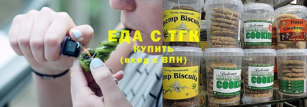 метамфетамин Ельня