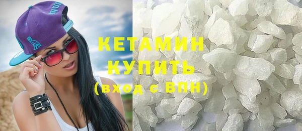 индика Елабуга