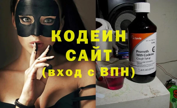 индика Елабуга