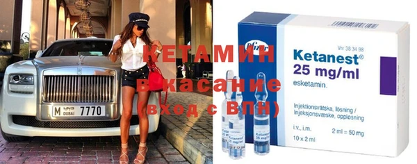 индика Елабуга