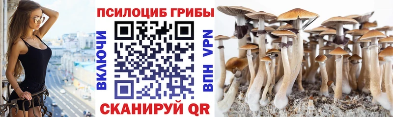 Псилоцибиновые грибы мухоморы  Зеленодольск 