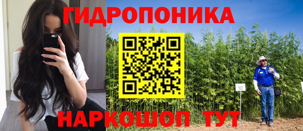 Шишки марихуана THC 21%  Конопля Bruce Banner  Конопля ГИДРОПОН  Зеленодольск  Каннабис White Widow  Вход с VPN 